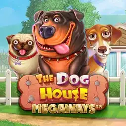 The Dog House Megaways game at Golden Mister Casino for United Kingdom players