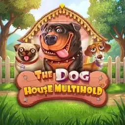 The Dog House Multihold game at Golden Mister Casino for United Kingdom players